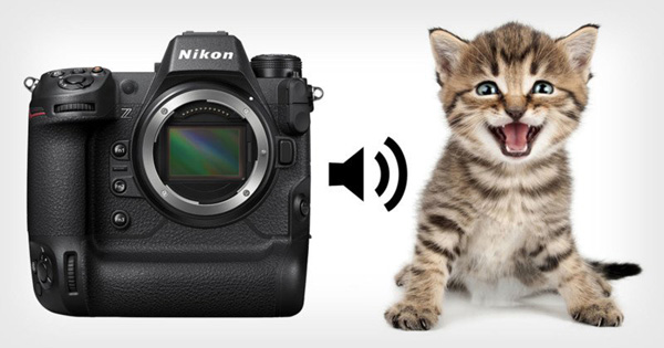 nikon-shutter-sound-cat-meow-800x420